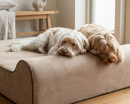 Originele bully bed kleur grijs