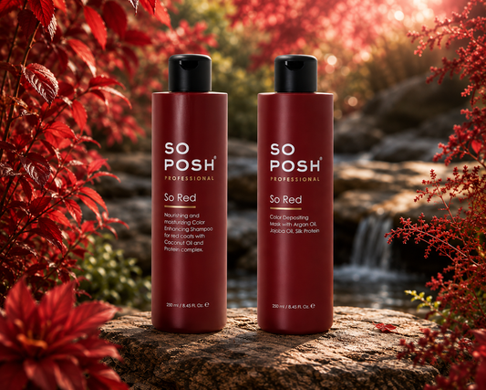 So Posh Red Color Depositing Kit