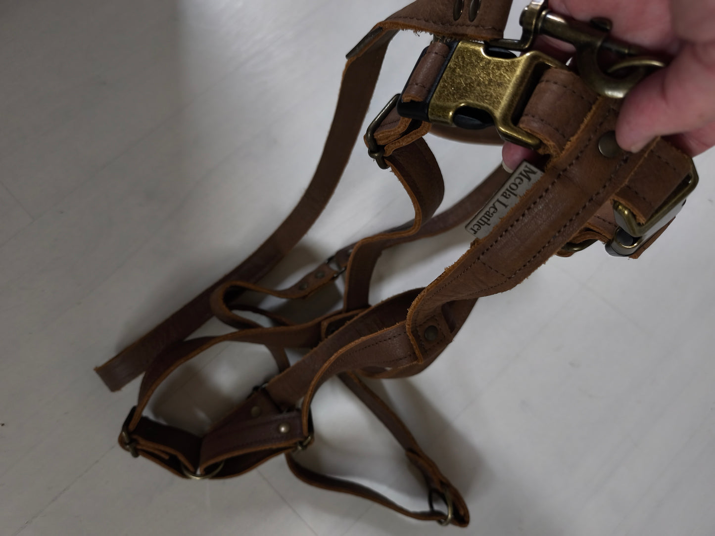 Leather set Y-harness including leather leash