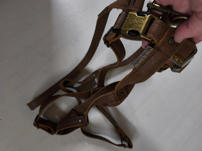 Leather set Y-harness including leather leash