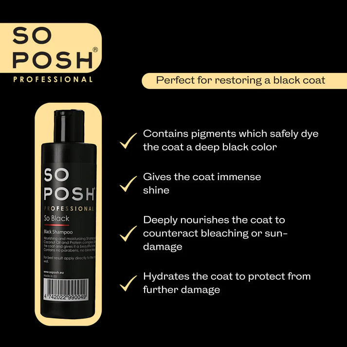 So Posh I'm So Black Shampoo