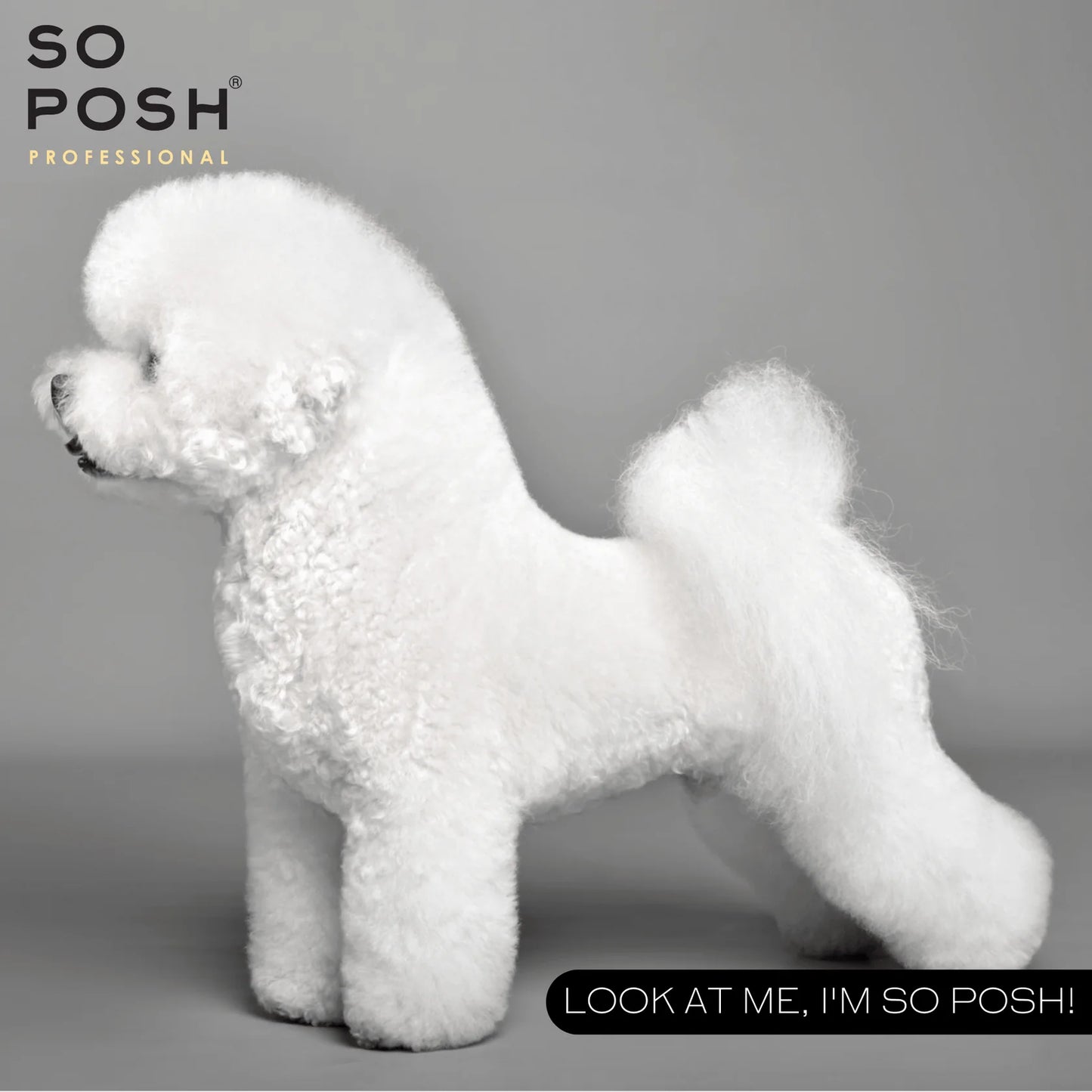 So Posh I'm So White Dog Shampoo